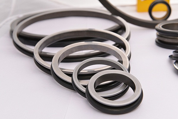 SAP Parts highly technology used Duo Cone Seals